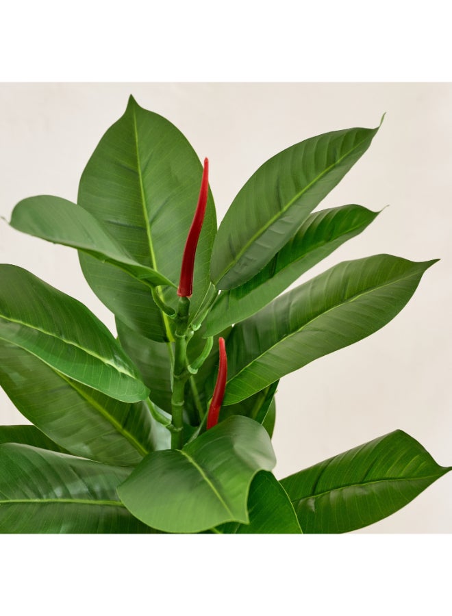 Home Box Evergreen Artificial Rubber Leaf Tree for Home - Image 2